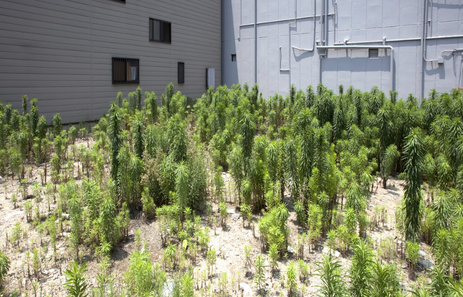 空き家・空き地の管理もお任せあれ◎の写真