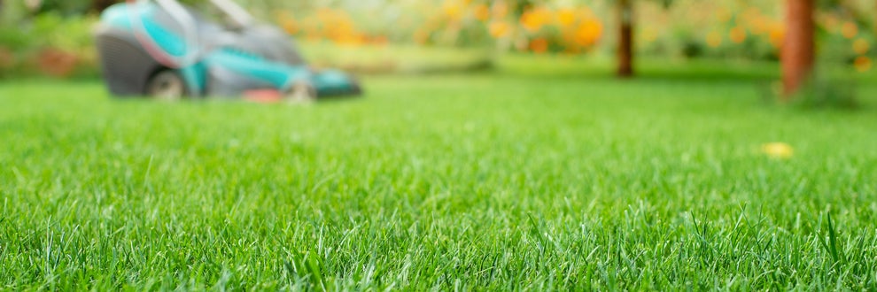 婆の猫の手・庭工房の画像