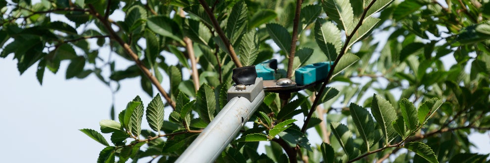 婆の猫の手・庭工房の画像