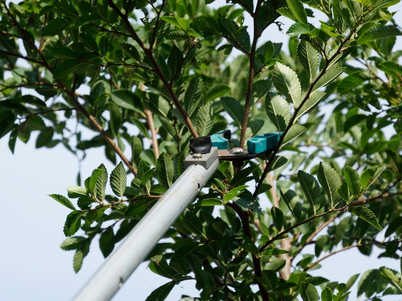 婆の猫の手・庭工房の画像